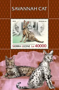 Sierra leone,2018, Catamount Posta Damgası, Kedi, Nadir vahşi Hayvan Damgası, Pul Koleksiyonu, Yüksek Kalite, iyi Durum Koleksiyonu